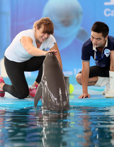 性的6比0 性的6比0