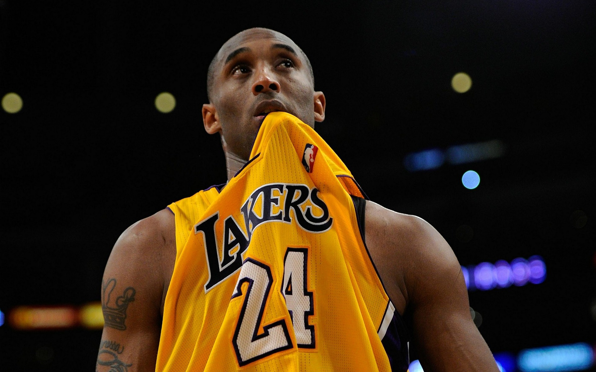 中在D1